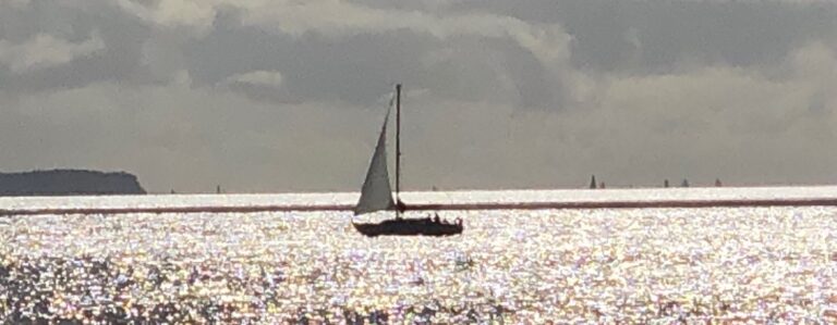 Being a Leader Core Course + High Performance Coaching